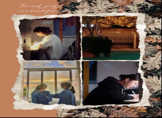 微信图片_202304261038581